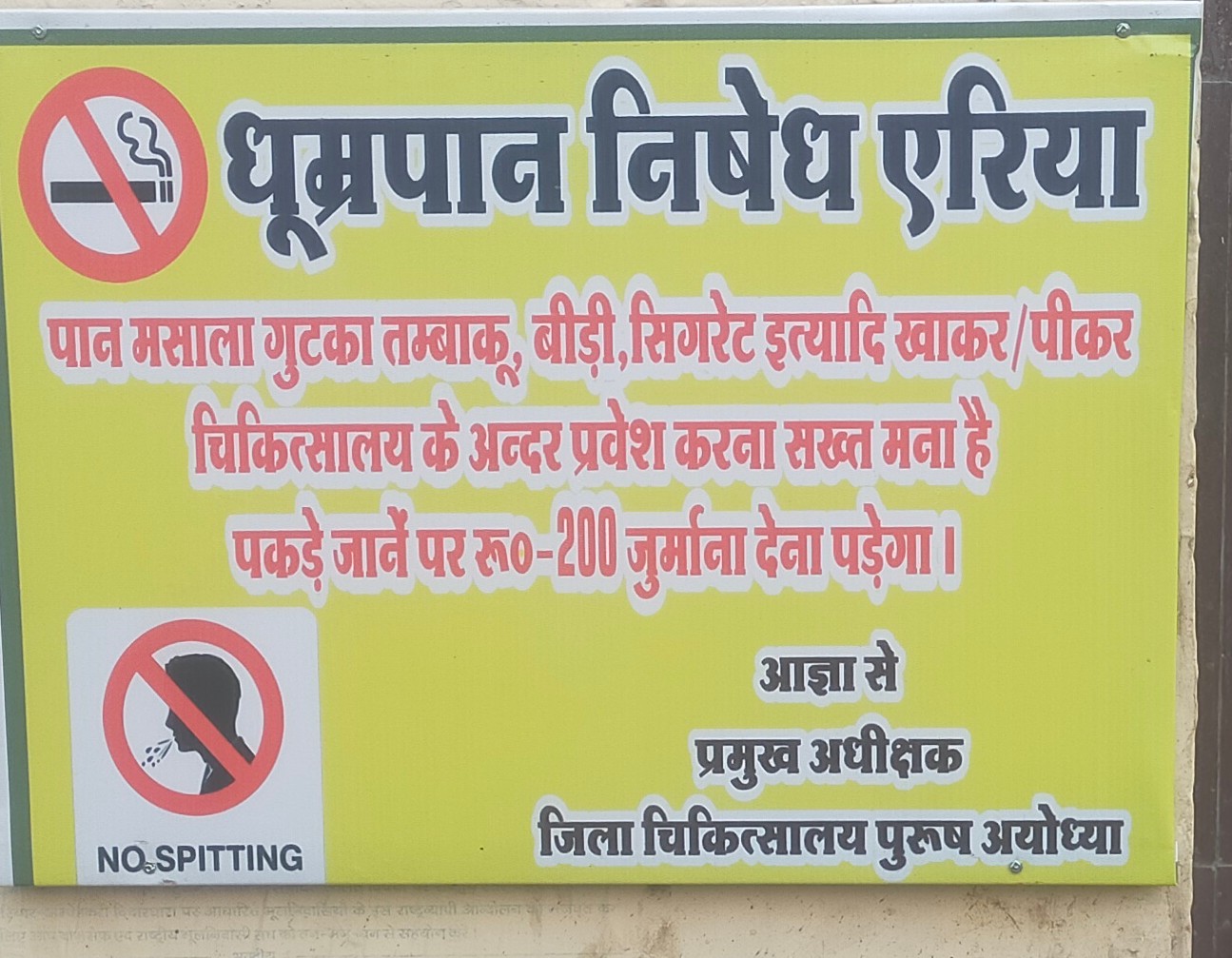 category photo