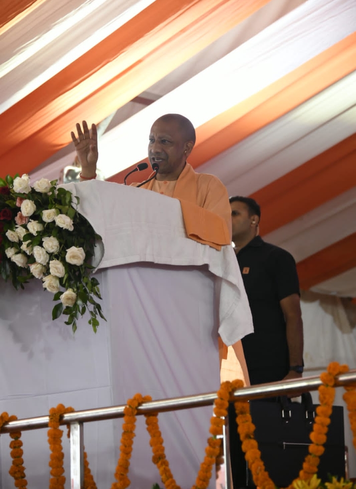 category photo